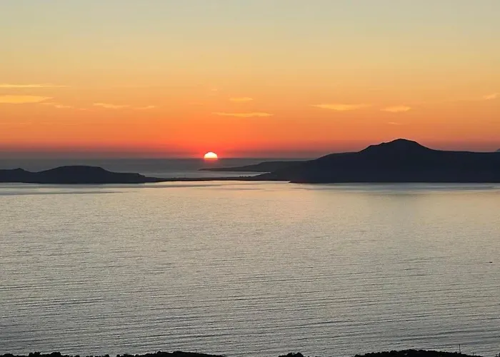 Heavenly View Yellow *